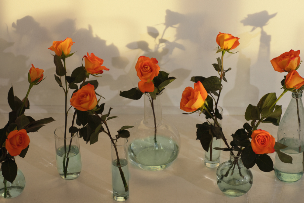 Flower vases for upcycling